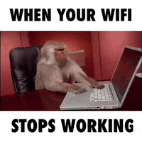 GIF by VakantieVeilingen