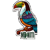 Amazon Peru Sticker by ManitiExpeditions