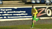 Celebration GIF by Cliftonville Football Club