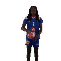 Ffhandball Sticker by Fédération Française de Handball