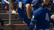 Blue Jays Baseball GIF by Toronto Blue Jays