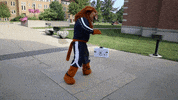 College Dancing GIF by Clarke University