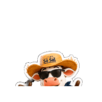 Farm Boi Sticker by Agro Só Sal