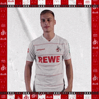 1 Fc Cologne Football GIF by 1. FC Köln