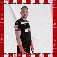 1 Fc Cologne Yes GIF by 1. FC Köln