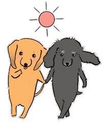 Dog Sun Sticker