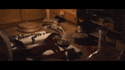 London Film Festival Bfi Lff GIF by Signature Entertainment