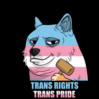 Empowering Shiba Inu GIF by Doge Pound