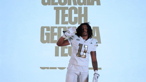 Georgia Tech Football Sport GIF by Georgia Tech Yellow Jackets