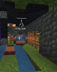 Xd Steve GIF