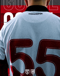 King Of The North GIF by SAMSUNSPOR