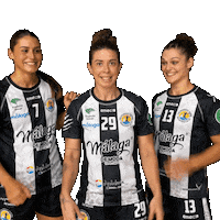 Shake It Handball Sticker by Club Balonmano Femenino Málaga Costa del Sol
