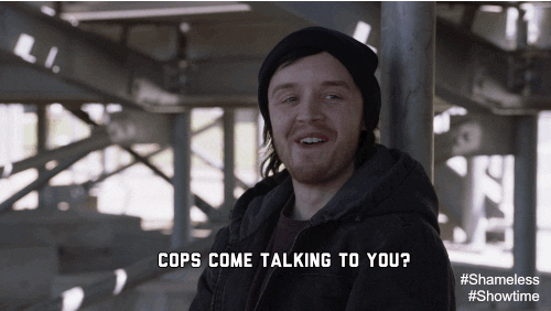 GIF by Showtime