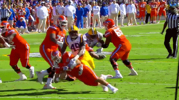 College Sports Sport GIF by LSU Tigers