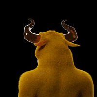 Bap No GIF by Bulls & Apes Project