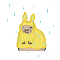 Rain 下雨 Sticker
