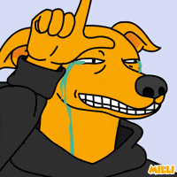 Shiba Inu Doge GIF by MILLI