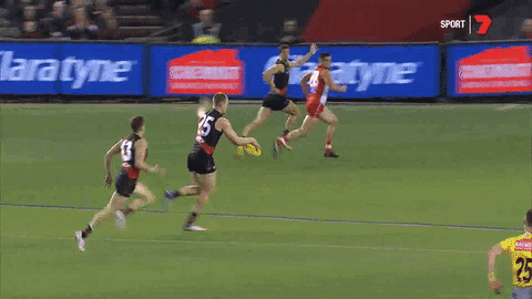 sport australia GIF by Essendon FC