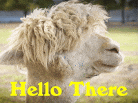 Its Me Hello GIF by Sealed With A GIF