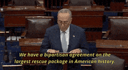 Chuck Schumer Senate GIF