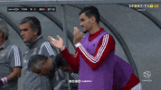 Sl Benfica Applause GIF by Sport Lisboa e Benfica