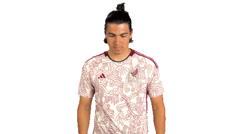 World Cup Mexico Sticker by MiSelecciónMX