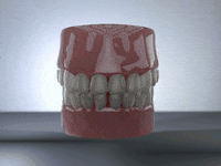 c4d GIF by Martin Onassis