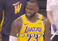 Lebron James Sport GIF