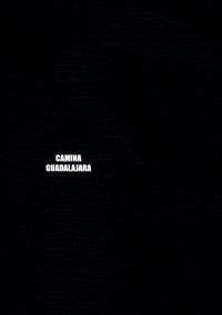 CaminaGDL guadalajara caminar caminagdl caminaguadalajara GIF