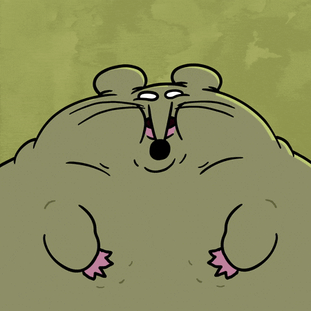 Rat GIF by PFINNEY