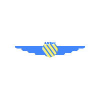 planeenglishsim flying plane flight pilot Sticker