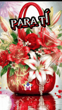 Para Ti Amigos GIF by Murcianys LLC