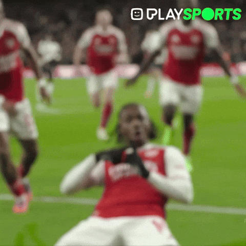 Premier League Yes GIF by Play Sports
