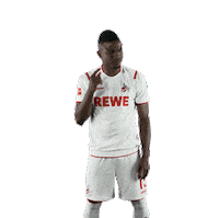Fc Cologne Bundesliga Sticker by 1. FC Köln