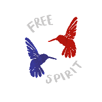 GiglioDesign free spirit humming birds giglio7 adrianagigliogif Sticker