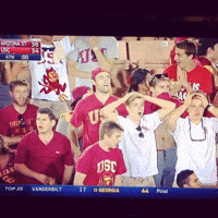 Asu GIF