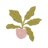spring Sticker by CAUSEBOX