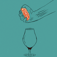 alexandraandreeva0bfe party beer bar drinks GIF