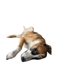 cassieadventuresoul tired sleepy good night cozy Sticker