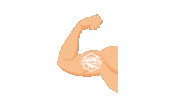 Bootcampgoes bootcamp goes sportief goes bootcampgoes goes bootcamp Sticker