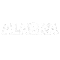 Animal Crossing Bear Sticker by Sharing Alaska