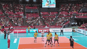 Power Point GIF by Volleyball World