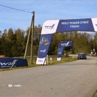 Toyota Katsuta GIF by FIA World Rally Championship