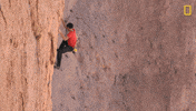 Nat Geo Adventure GIF by National Geographic Channel