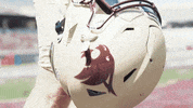 College Ncaa GIF by Texas State Football