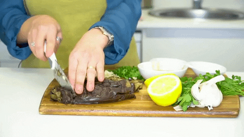 GIF by Tua Saúde