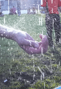 GIF by Jaime Martinez