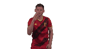 Red Devils Belgium Sticker by Royal Belgian FA