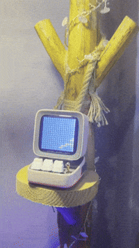 Bird Divoom GIF