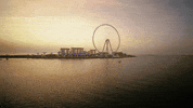Side Effects Lb GIF by D-Block Europe